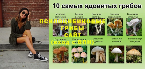 гашиш Алексин